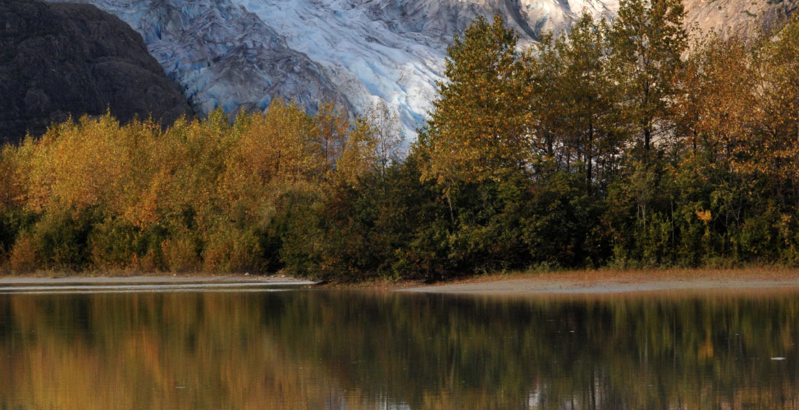 Forest with a lake view.