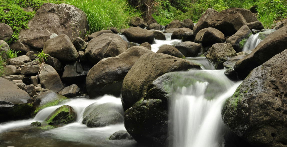 Water spring at Iao Valley, Hawaii.